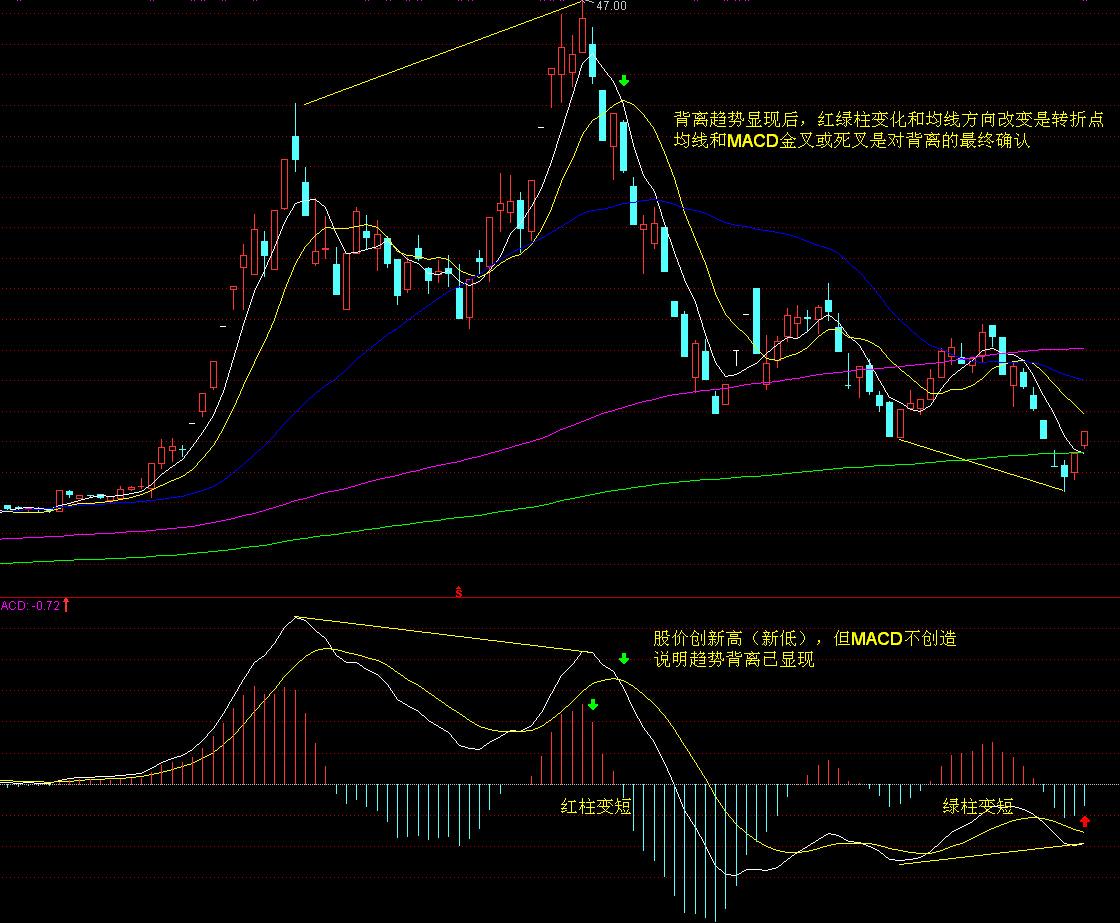 港股午评|恒生指数早盘涨1.88%   恒生生物科技指数大涨3.77%