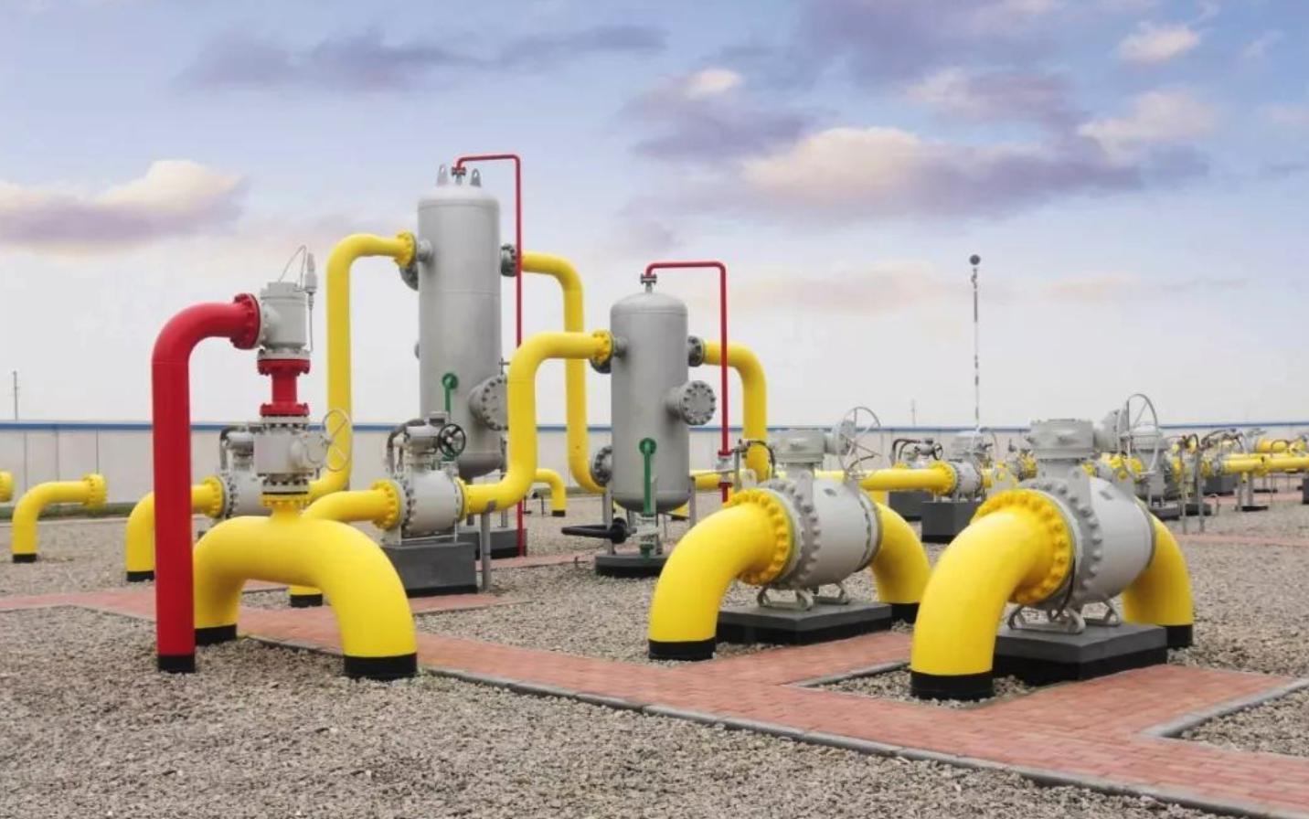 平南县放生23尾国家二级保护动物斑鳠