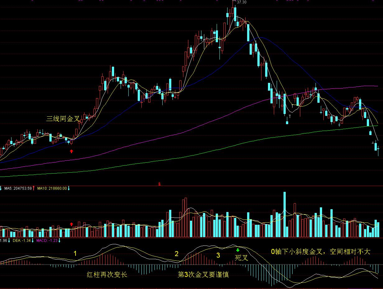 美股异动 | Q2财报结果超预期 Astera Labs(ALAB.US)涨超30%